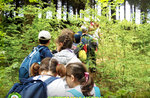 Green Week for Children at the Cason of the Wonders of Treschè Conca - from 1 to August 5 2022