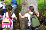 Settimana verde per bambini al Cason delle meraviglie di Treschè Conca - dal 11 al 15 luglio 2022