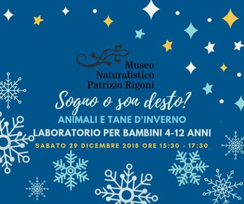 Sogno o son desto? Animali e tane d'inverno Sogno o son desto? Animali e tane d'inverno