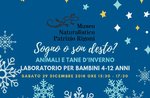 Laboratorio naturalistico-creativo "Sogno o son desto? Animali e tane" ad Asiago - 29 dicembre 2018