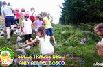 "SULLE TRACCE DEGLI ANIMALI DEL BOSCO" - Attività per bambini con animali al Cason delle Meraviglie - 31 agosto 2018