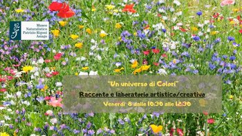 Un universo di colori