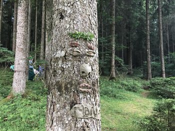 Volto degli alberi al Museo Naturalistico di Asiago