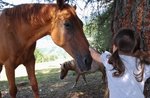 The Little Saturday at the Wonder House with a guided tour of the farm - July 18 2020