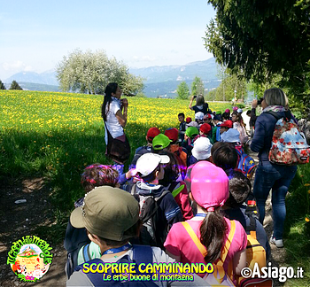 Cason delle meraviglie erbe buone di montagna 2 Cason delle meraviglie erbe buone di montagna 2
