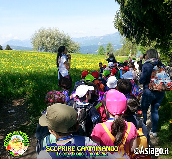 Cason delle meraviglie erbe buone di montagna 2