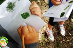 Good mountain herbs al Cason of wonders Saturday, August 8