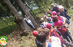 "Il bosco delle mille creature": evento per bambini al Cason delle Meraviglie - 16 agosto 2022