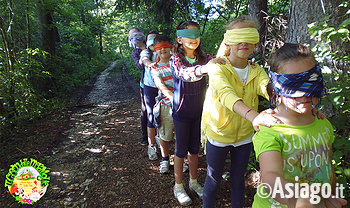 Cason delle meraviglie scoperta bosco natura 3