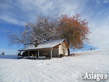 Cason inverno 2