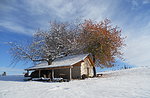 Inverno per tutti i gusti