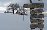 Inverno per tutti i gusti 