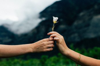 Mani di donne che si scambiano fiore