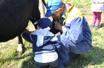 "In the Old Farm" - Children's Activities at the Wonder Case - July 26, 2020