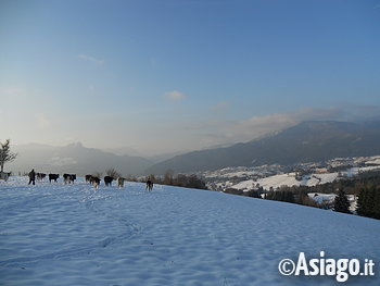 Paesaggio inverno Paesaggio inverno