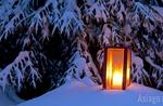 Snowshoeing by candlelight with ASIAGO GUIDE, Asiago plateau, March 19, 2016