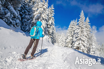 Ciaspolata alla Piana di Marcesina Enego 26 dicembre 2021