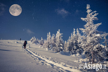 ciaspolata_notturna_al_chiaro_di_luna_mezzaselva