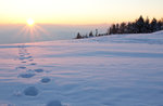 Ciaspolata al tramonto e cena al Rifugio Bar Alpino, 28 gennaio 2017