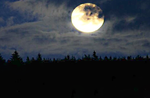 Moonlight hike with Asiago Guide, Asiago plateau, March 26, 2016