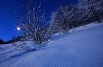 Geführte Nachtwanderung mit Schneeschuhen und Abendessen im Tierheim, mit Biosphaera