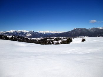 Sulla neve con le ciaspole Sulla neve con le ciaspole