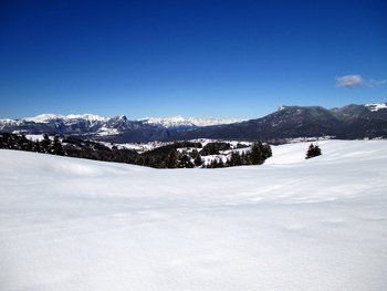 Sulla neve con le ciaspole