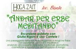 "ANDAR PER HERBS MUSING"-Excursion on the Asiago plateau with Giulia Rigoni and Lisa Calhoun-14 July 2018