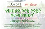 "ANDAR PER ERBE MEDITANDO"- Escursione sull'Altopiano di Asiago con Giulia Rigoni e Lisa Cantele - 14 luglio 2018