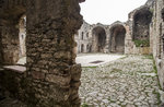 "Nature lens" excursion with naturalist photographer to Forte Interrotto - Asiago, July 26 2021