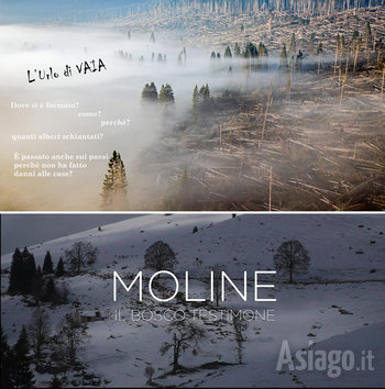 Urlo di vaia e moline documentari