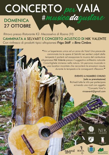 Concerto per Vaia con Nik Valente Concerto per Vaia con Nik Valente
