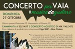 CONCERTO PER VAIA a SelvArt con Nik Valente - 27 ottobre 2019