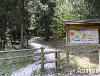 particolare della val di nos sull altopiano di asiago