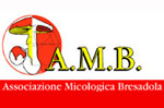 Scientific Committee of 70 Mycology of Mycological Association ' Bresadola, Asia