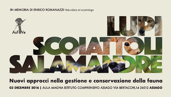 Lupi scoiattoli salamandre Lupi scoiattoli salamandre