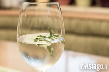 Aperitivo a base di tarassaco di Conco