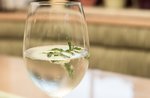 DANDELION-dandelion SPRITZ Aperitif BAR with Conco COURTEOUS to April 28 and 29 Conco-2018