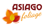 ASIAGO FOLIAGE 2019 - Herbstfarben und Aromen auf dem Asiago Plateau - 19. und 20. Oktober 2019