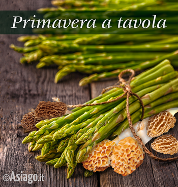 Asparagi e spugnole - Primavera a Tavola