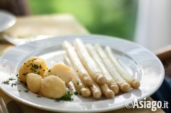 Asparagi e uova al rifugio campolongo