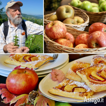 Cena a base di mele e visita al frutteto