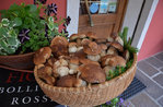 Traditional dinner with Highland mushrooms and game at Foza Alps Restaurant - 3 October 2020