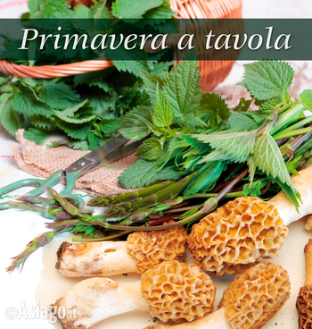 Erbe spontanee e spugnole - Primavera a tavola