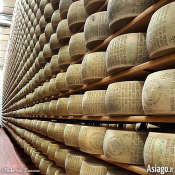 Forme di formaggio del Caseificio Pennar di Asiago