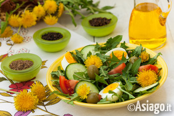 Insalata colorata con tarassaco