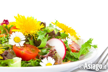 Insalata con tarassaco