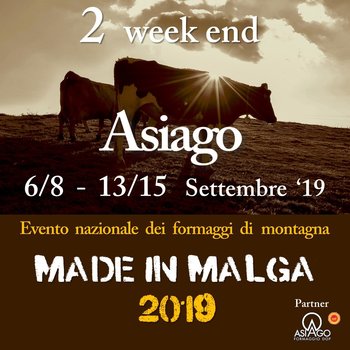 Made In malga 2019