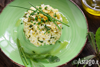 Risotto al tarassaco Risotto al tarassaco