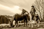 Evening counrty "EQUINE-UNCLE of autumn" in the hills With the wind on the Asiago plateau-23 September 2017